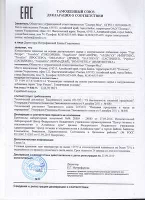 DreamZzz сертификат в Друскининкай